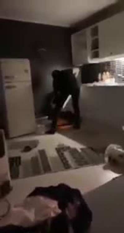 🍕🍕🍕