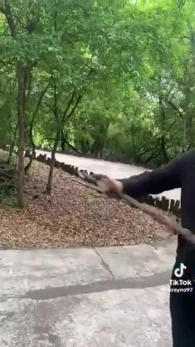 He found the stickcalibur, he is the king of the dudes now, that's the rule.