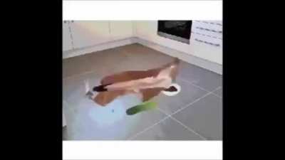 The cat do be vibin tho