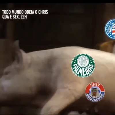Matamo o porco
