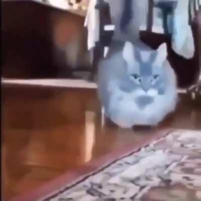 He come