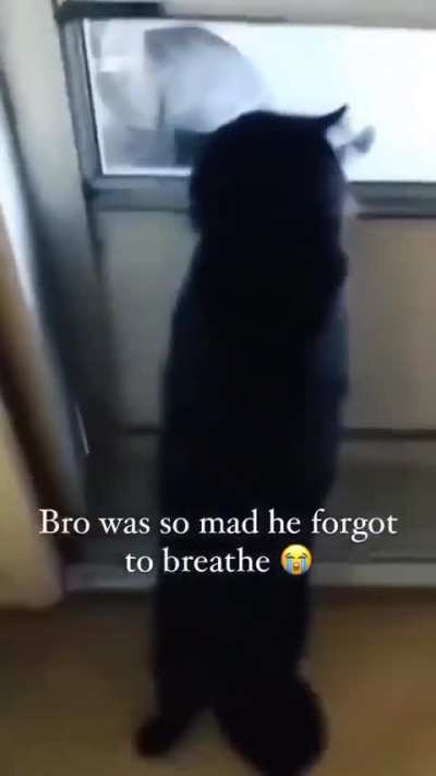 He forgot to breathe