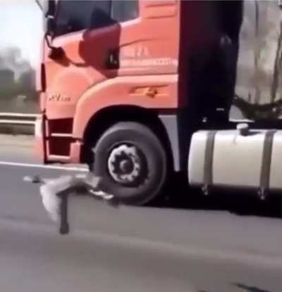 Fast and furious