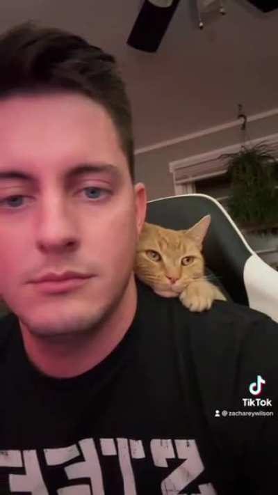 My farm kitty Cosmo doesn’t know what boundaries are. He is staying inside for the winter nights and apparently thinks I’m a tree.