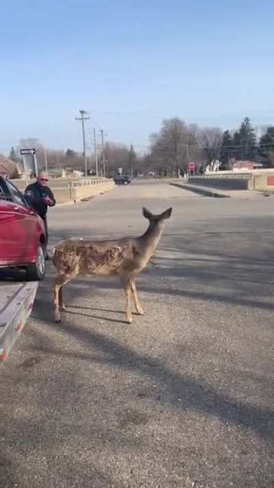 Sir, you can’t park here.