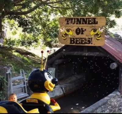 beeautiful day to go to the amusement park