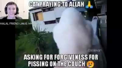 Mashallah
