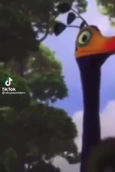 Yt