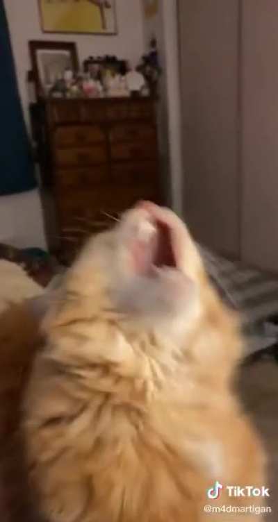 One bite