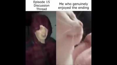 For those few who liked the ending