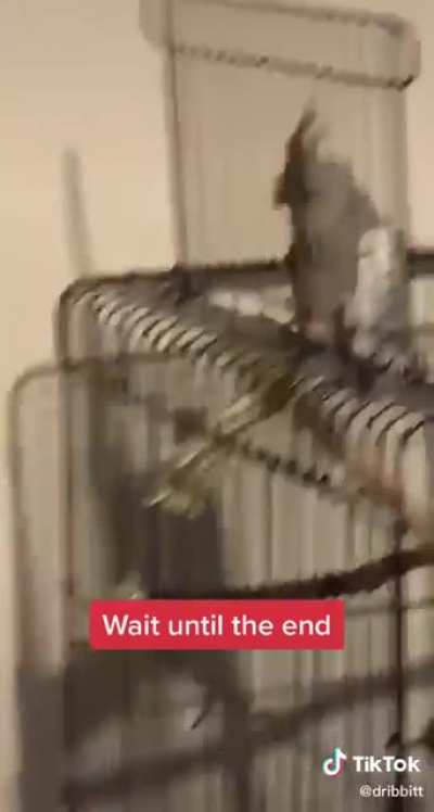 You’re gonna fall!