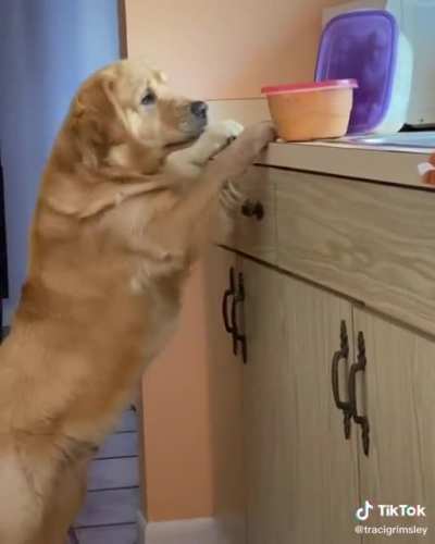 Caught in the act