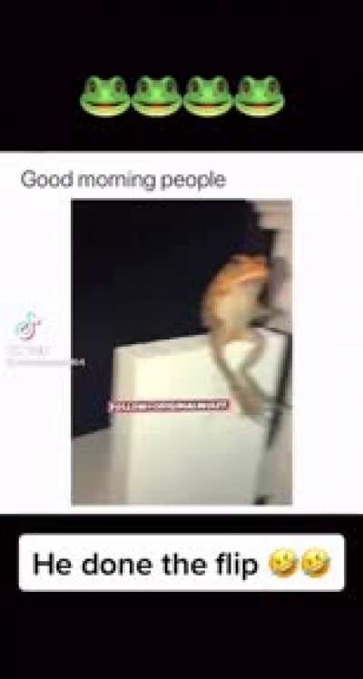 Do a flip
