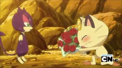 Go for it meowth we all know you want to