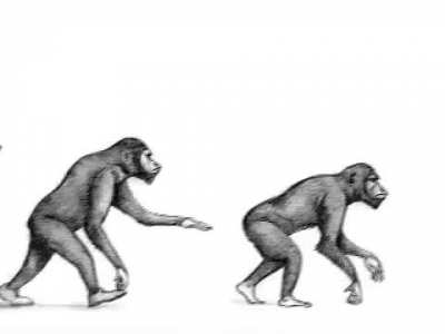 Evolution 