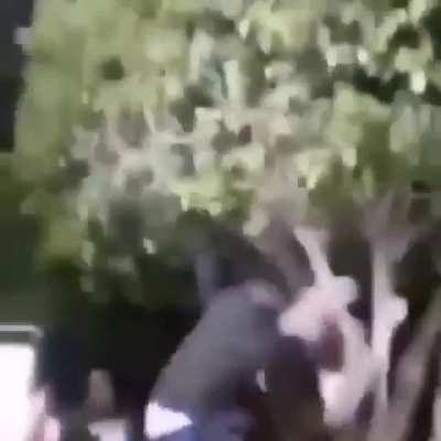El sentido de la vida
