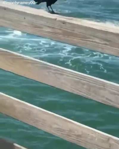 Don't drop it bro