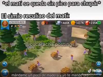 xd