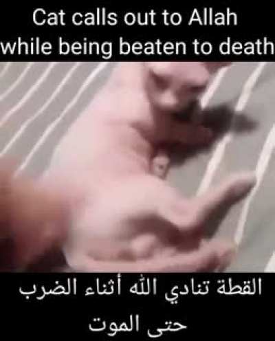 NOOOOO