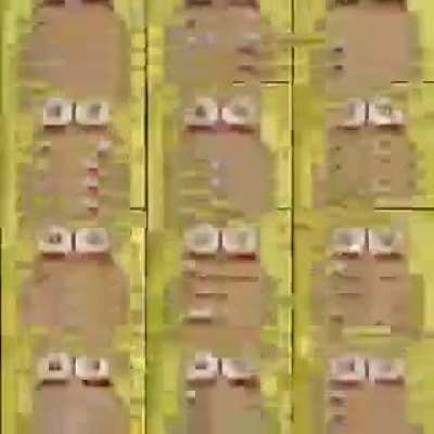 Child Pou Cracked 100% Free Glitch