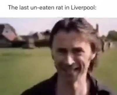 Moldy rat