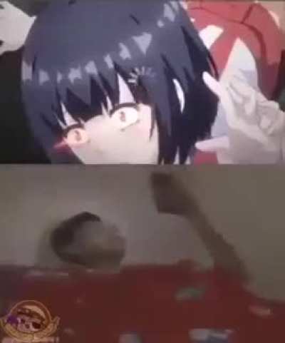 Feião DOMM