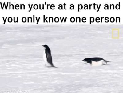 Me irl