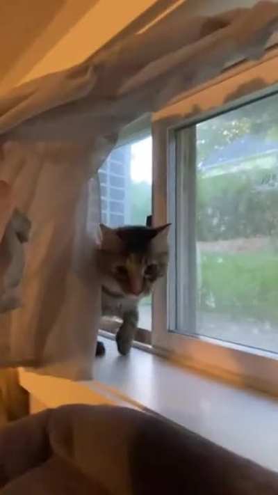 Let's see what's behind this curtain..