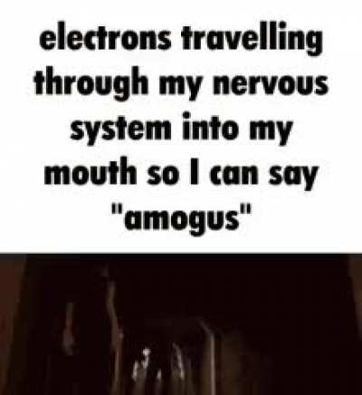 Amog...