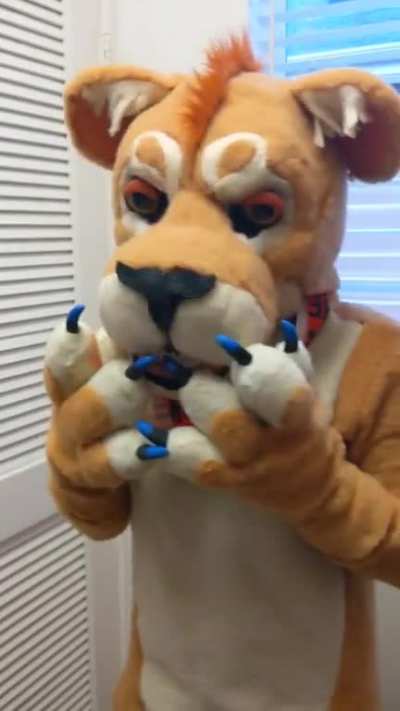 Roar_irl