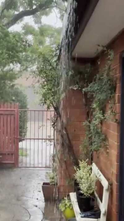 What a wonderful sound. Canberra Australia