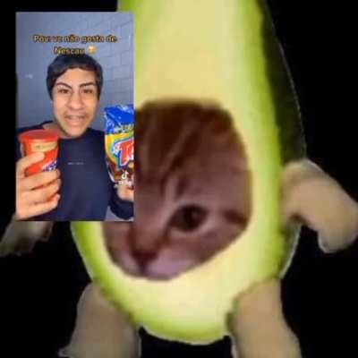 Abacato