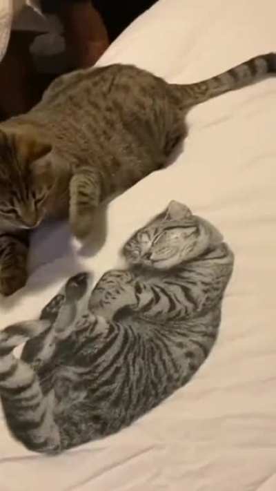 Who sleeps there