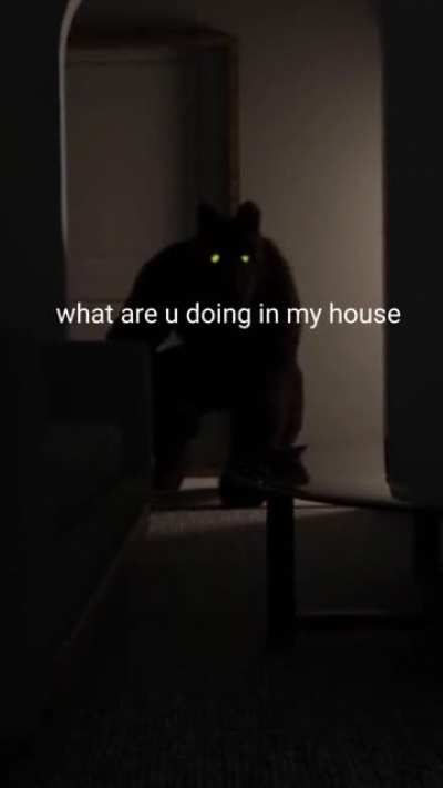 cursed_3
