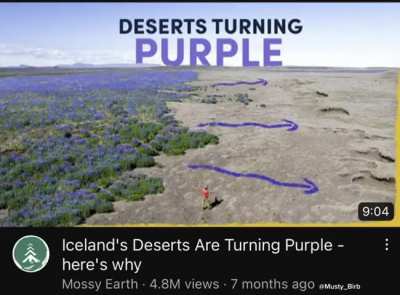 terraria irl?!?