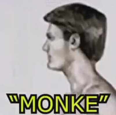 RETURN TO MONKE!!