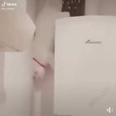 Hold my catnip.