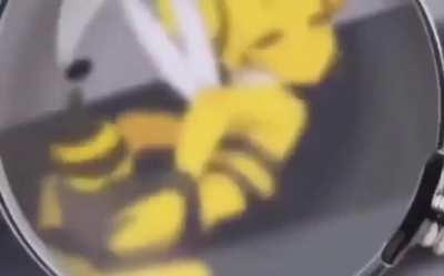 Furry🐝irl