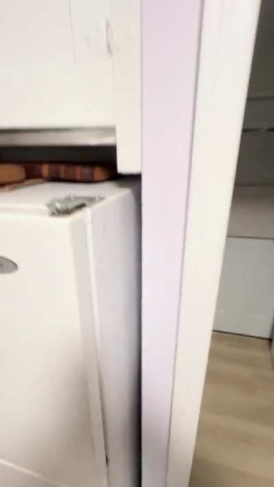 Loud electrical buzz/hum in apartment