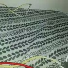 Me freaking out that there's a horsefly by my bed.