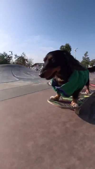 radical wunkus 