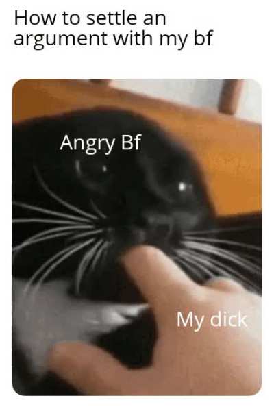 Gay🍆irl