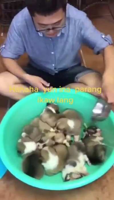How to cook.