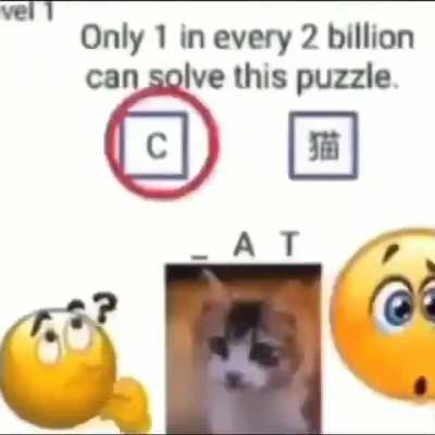 قطة نيغا