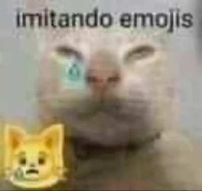 😿