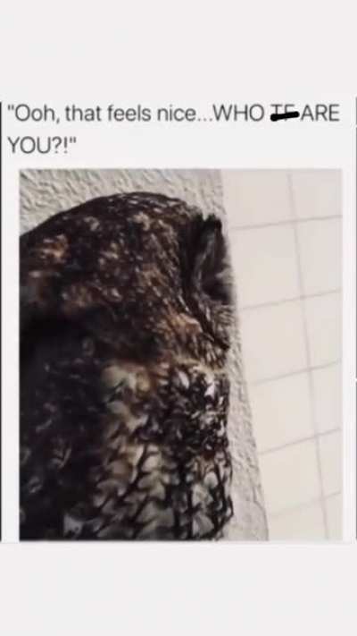Oh shit