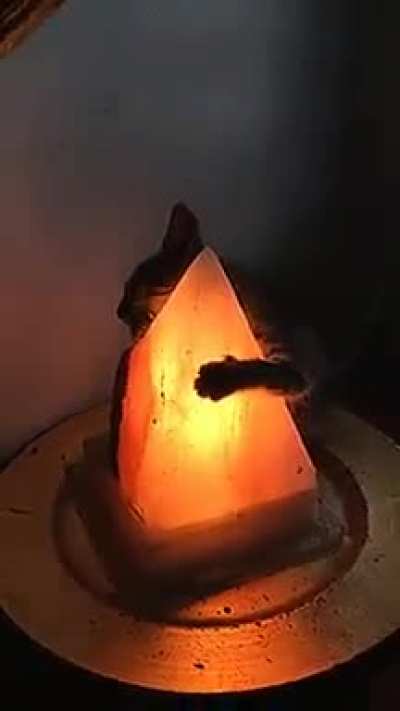 I love lamp