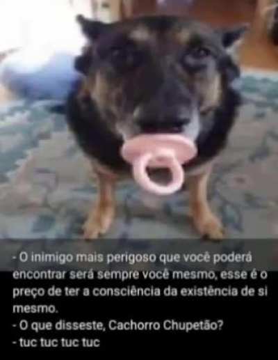 fofo