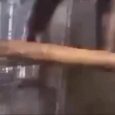 MONKE