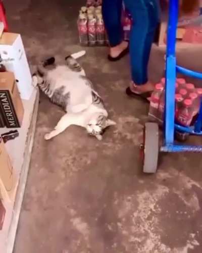 I’m going to need you to cover my shift…
